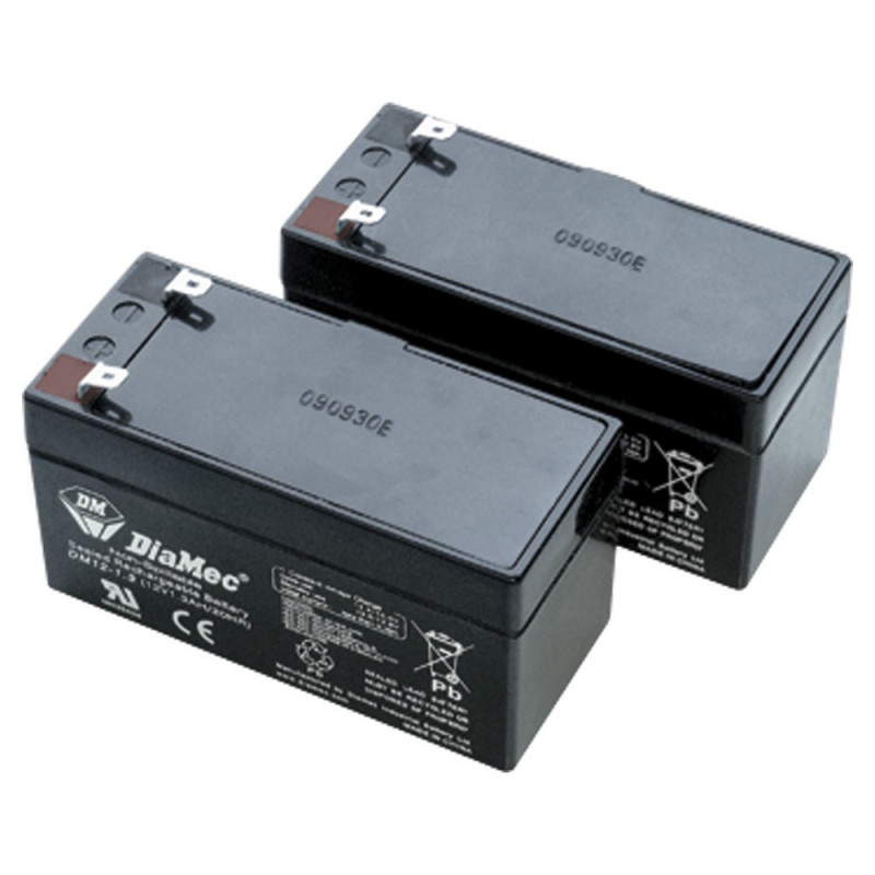 BAT/PASS DEA - Batteries de secours pour automatisme 24 V